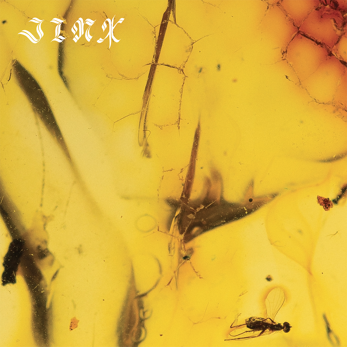 Crumb Jinx album cover