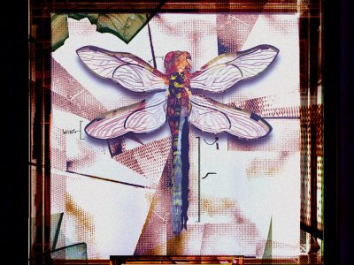 Ajani Jones, Dragonfly